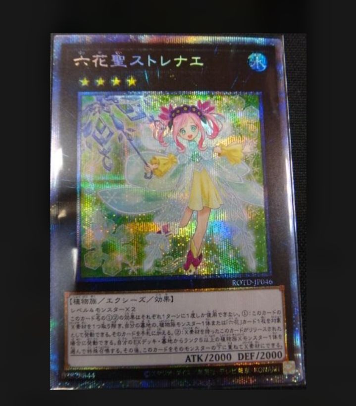 【動漫周邊開箱】遊戲王鑑定卡六花聖