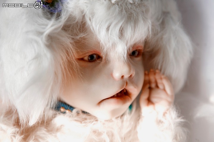 【樂淘開箱】一本台灣沒有的書 林美登利 創作人形 寫真